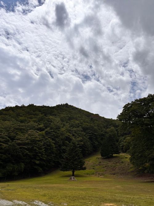 真夏の避暑キャンプ。 WASAMATA HUTTE グループキャンプ 区画サイト オートサイト あやぴーさんのキャンプブログ CAMPiii(キャンピー) -キャンプ専用SNS キャンプのすべてがここに集まる-