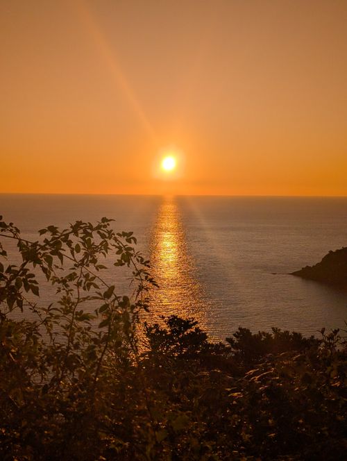 最高の天気 南伊豆キャンピングテラス おうこさんのキャンプブログ CAMPiii（キャンピー） -キャンプ専用SNS キャンプのすべてがここに集まる-