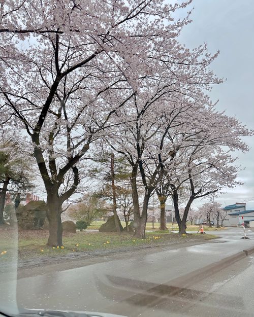 秋田＆岩手を目指せ〜🌀🌀🌀🌀🌀 キャンプグランド・ベアーベル Oniyomeさんのキャンプブログ CAMPiii（キャンピー） -キャンプ専用SNS キャンプのすべてがここに集まる-