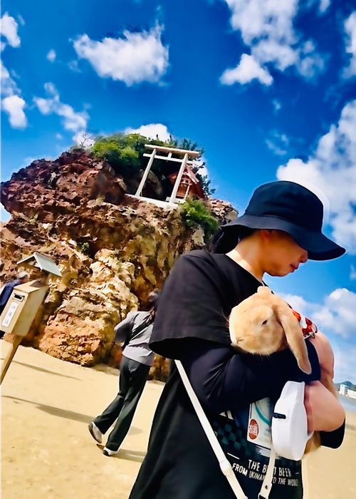 神在月に神の遣い《きなこ》と一緒に…出雲参拝おじおばうさキャン△ in 夢の森うさぎキャンプ場 〜 CAMP NO. うさぎ森林公園 夢の森うさぎ ファミリーキャンプ グループキャンプ 区画サイト おじキャン△さんのキャンプブログ CAMPiii(キャンピー) -キャンプ専用SNS キャンプのすべてがここに集まる-