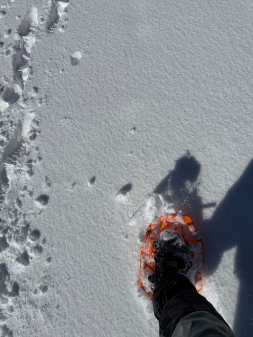 冬キャンプ始まる。 CAMP SKY FIELD-車山オートキャンプ場 ソロキャンプ 区画サイト シルバーズさんのキャンプブログ CAMPiii（キャンピー） -キャンプ専用SNS キャンプのすべてがここに集まる-