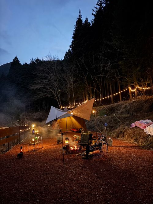 きのこ🍄だからって，決してシモネタではございません ぼくのキャンプ場はなれ ソロキャンプ オートサイト とのさんのキャンプブログ CAMPiii（キャンピー） -キャンプ専用SNS キャンプのすべてがここに集まる-