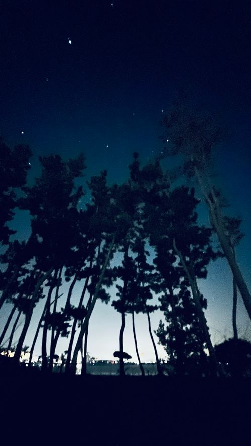 聖地 渚園 キャンプ場 ソロキャンプ 区画サイト KABUTOさんのキャンプブログ CAMPiii（キャンピー） -キャンプ専用SNS キャンプのすべてがここに集まる-