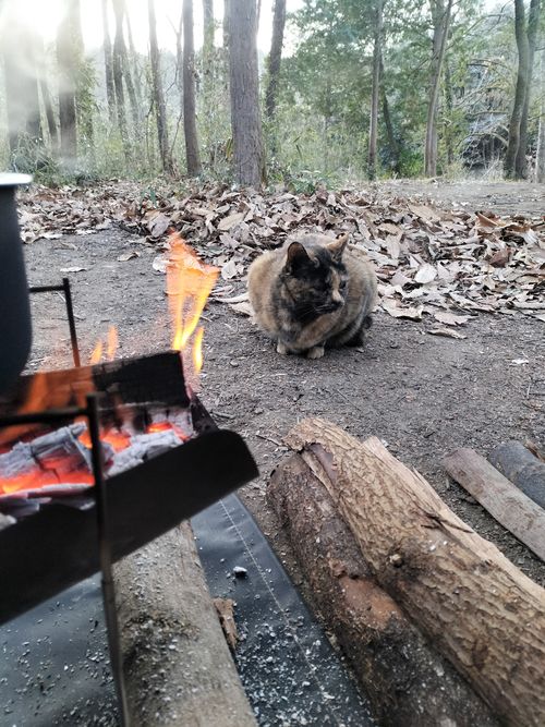 新年一発目の最＆高！！ 月川荘キャンプ場 林間サイト ソロキャンプ フリーサイト ぼっちオヤジさんのキャンプブログ CAMPiii（キャンピー） -キャンプ専用SNS キャンプのすべてがここに集まる-