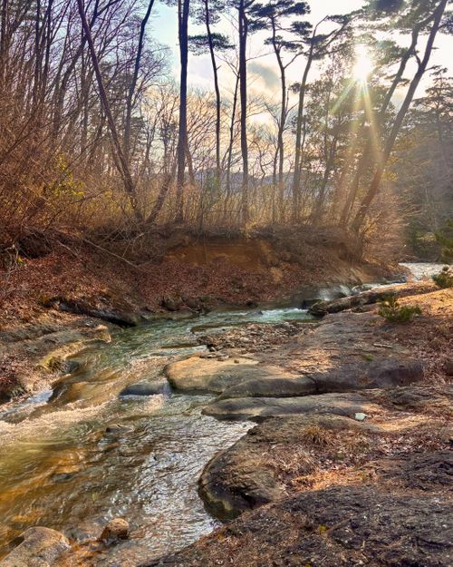 自然と一体！サウナと小川で「ととのう」贅沢時間 OUSE Camp＆Sauna TUULI（トゥーリ） Oniyomeさんのキャンプブログ CAMPiii（キャンピー） -キャンプ専用SNS キャンプのすべてがここに集まる-
