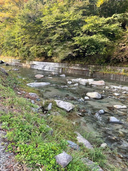 同僚と道志村で2泊3日のふたりキャンプ！ 道志村観光農園オートキャンプ場 ソロキャンプ グループキャンプ フリーサイト ma9さんのキャンプブログ CAMPiii（キャンピー） -キャンプ専用SNS キャンプのすべてがここに集まる-