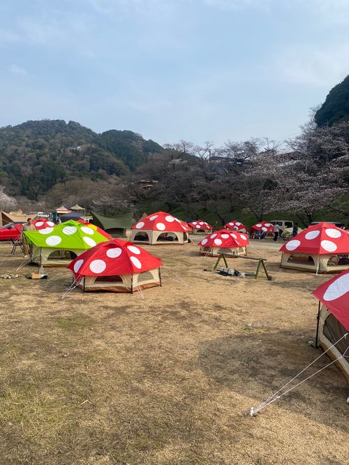 CAMPiii（キャンピー） KINOKO_MUSTANGさんのキャンプブログ 第16回キノコ会 笠置キャンプ場