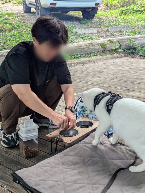 天気に恵まれた高原キャンプ North Village Hirugano - Camping Fields グループキャンプ ソロキャンプ オートサイト 区画サイト ちあさんのキャンプブログ CAMPiii（キャンピー） -キャンプ専用SNS キャンプのすべてがここに集まる-