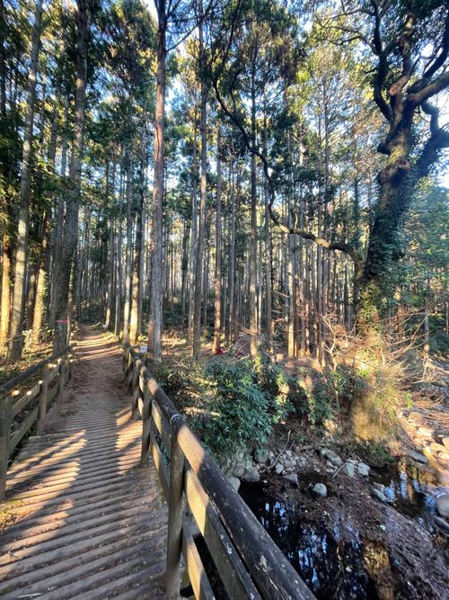 徒歩ソロで行く、いこいの森 RECAMP おだわら 小田原市いこいの森 RECAMP おだわら ソロキャンプ 区画サイト ma9さんのキャンプブログ CAMPiii（キャンピー） -キャンプ専用SNS キャンプのすべてがここに集まる-