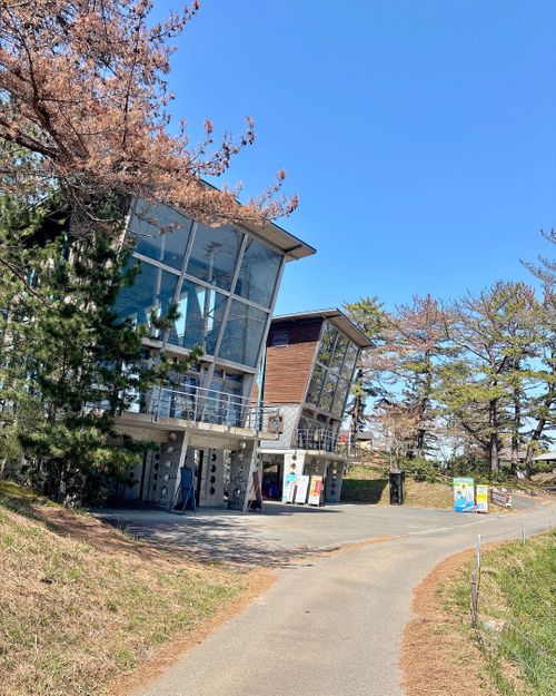 至れり尽くせり💕『お姫様』デイキャンプ 神割崎キャンプ場 Oniyomeさんのキャンプブログ CAMPiii（キャンピー） -キャンプ専用SNS キャンプのすべてがここに集まる-