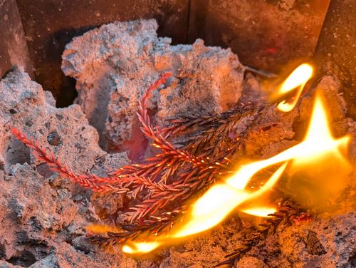 年末キャンプ🏕️ 大阪府 ソロキャンプ フリーサイト ぞのさんさんのキャンプブログ CAMPiii（キャンピー） -キャンプ専用SNS キャンプのすべてがここに集まる-