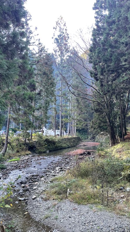 紀伊半島3/3キャンプ（和歌山県） フォーシーズンズキノカワ ファミリーキャンプ 区画サイト オートサイト フォレキャンさんのキャンプブログ CAMPiii（キャンピー） -キャンプ専用SNS キャンプのすべてがここに集まる-