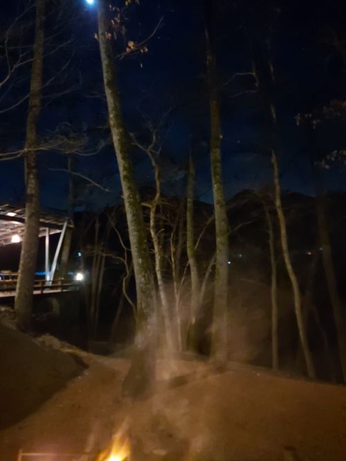 明けましておめでとうございます🎍年越しで狼さんに会いに行ったけどちとヘコんだキャンプ⛺ フォレストサンズ長瀞 ソロキャンプ 区画サイト ひろ16さんのキャンプブログ CAMPiii（キャンピー） -キャンプ専用SNS キャンプのすべてがここに集まる-