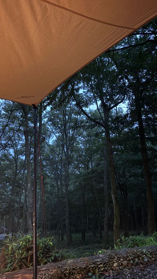 夏の後半開始 CAMP&times;WOODS ファミリーキャンプ 区画サイト オートサイト moreAiさんのキャンプブログ CAMPiii（キャンピー） -キャンプ専用SNS キャンプのすべてがここに集まる-