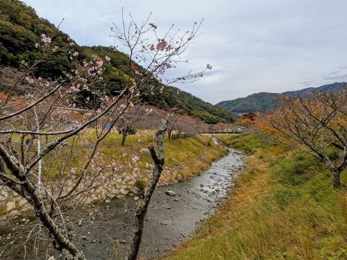 メッタメタにしてやんよ！ 知明湖キャンプ場 ソロキャンプ フリーサイト ぞのさんさんのキャンプブログ CAMPiii（キャンピー） -キャンプ専用SNS キャンプのすべてがここに集まる-