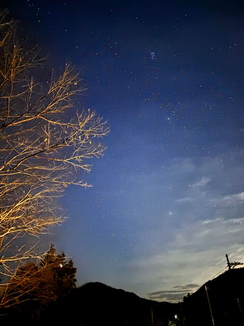 あけまして2026。 KAWAI VILLAGE CAMP グループキャンプ 区画サイト オートサイト あやぴーさんのキャンプブログ CAMPiii（キャンピー） -キャンプ専用SNS キャンプのすべてがここに集まる-