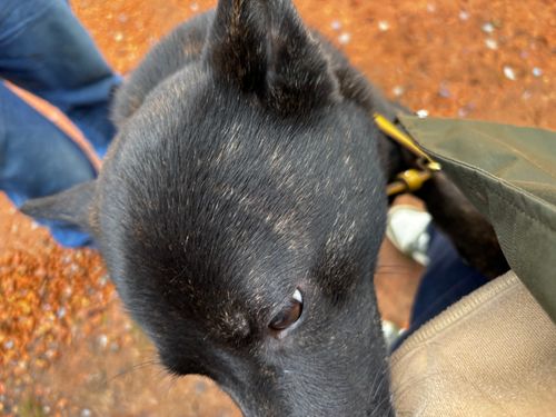 快気祝いグルキャン。 TASTE HOUSE ZEN グループキャンプ フリーサイト あやぴーさんのキャンプブログ CAMPiii（キャンピー） -キャンプ専用SNS キャンプのすべてがここに集まる-