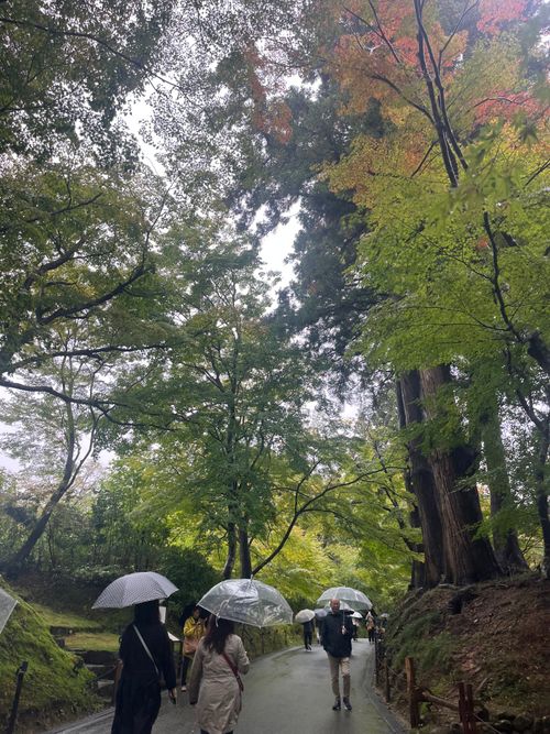 やっぱ、遠征は連泊に限るねぇ😆 神割崎キャンプ場 グループキャンプ ファミリーキャンプ フリーサイト まっつんさんのキャンプブログ CAMPiii(キャンピー) -キャンプ専用SNS キャンプのすべてがここに集まる-