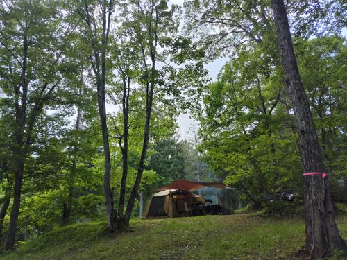 CAMPiii（キャンピー） セツさんのキャンプブログ 森林キャンプ⛺️ 