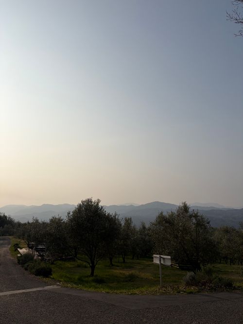 オリーブ畑で オキオリーブ ガーデン ソロキャンプ 区画サイト ゆうさんさんのキャンプブログ CAMPiii（キャンピー） -キャンプ専用SNS キャンプのすべてがここに集まる-