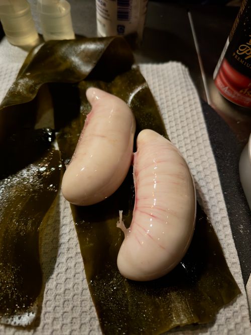 新年雪中デビュー⛄️❄️🌨🏔️@後編 閑乗寺公園 第2キャンプ場 ファミリーキャンプ 区画サイト オートサイト ぐうたら夫婦さんのキャンプブログ CAMPiii（キャンピー） -キャンプ専用SNS キャンプのすべてがここに集まる-