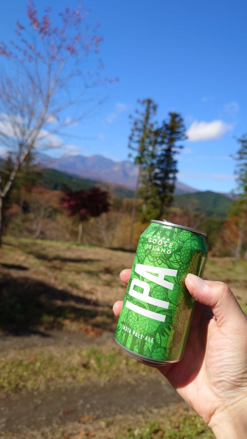 紅葉狩り 日光・まなかの森 キャンプ＆スパリゾート ソロキャンプ グループキャンプ 区画サイト まーささんのキャンプブログ CAMPiii（キャンピー） -キャンプ専用SNS キャンプのすべてがここに集まる-