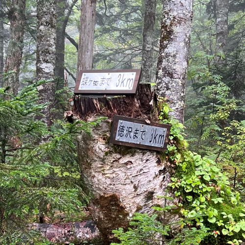 I miss HOTAKA⛰️ 徳沢キャンプ場 ソロキャンプ フリーサイト shuさんのキャンプブログ CAMPiii(キャンピー) -キャンプ専用SNS キャンプのすべてがここに集まる-