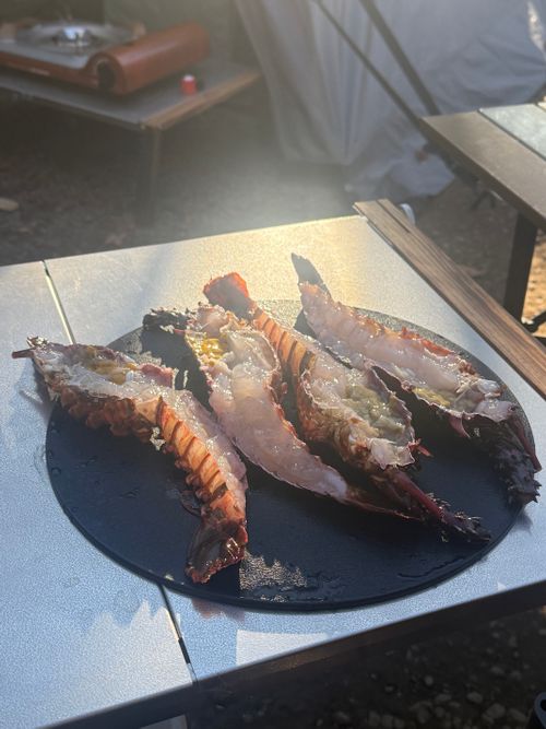 いい夫婦の日に2組でキャンプ 阿蘇レインボーバレー ファミリーキャンプ グループキャンプ 区画サイト オートサイト moreAiさんのキャンプブログ CAMPiii（キャンピー） -キャンプ専用SNS キャンプのすべてがここに集まる-