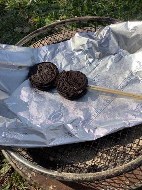 Vol.114 26/NO.04 お花見しながらお肉焼くぅ‼️ 坂戸市 ソロキャンプ フリーサイト 🔥焚き火🔥さんのキャンプブログ CAMPiii（キャンピー） -キャンプ専用SNS キャンプのすべてがここに集まる-