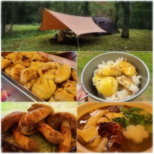 秋満喫ベスト4🍁🍂キャンプと登山とChatGPT 坊ガツル グループキャンプ フリーサイト NATSUさんのキャンプブログ CAMPiii（キャンピー） -キャンプ専用SNS キャンプのすべてがここに集まる-