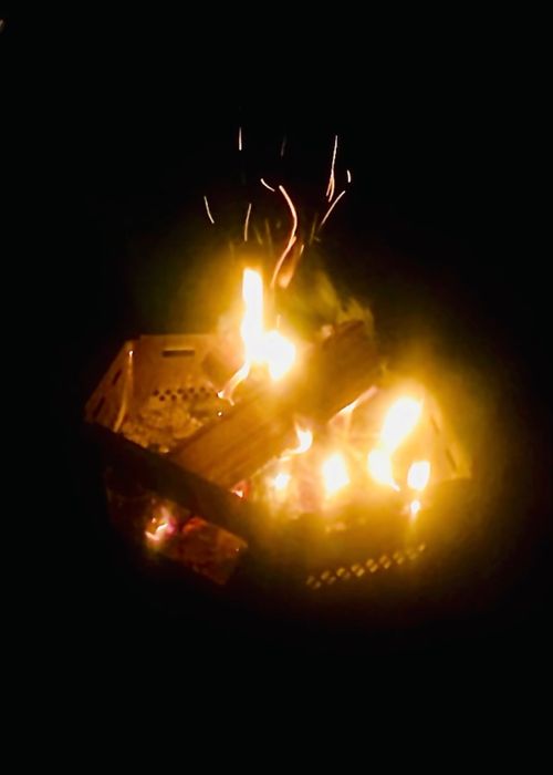 桜🌸を諦めきれないおばちゃんの付き添いおじおばうさキャン△ in 深坂自然の森キャンプ場 〜 CAMP NO.184 深坂自然の森キャンプ場 ファミリーキャンプ グループキャンプ 区画サイト おじキャン△さんのキャンプブログ CAMPiii（キャンピー） -キャンプ専用SNS キャンプのすべてがここに集まる-