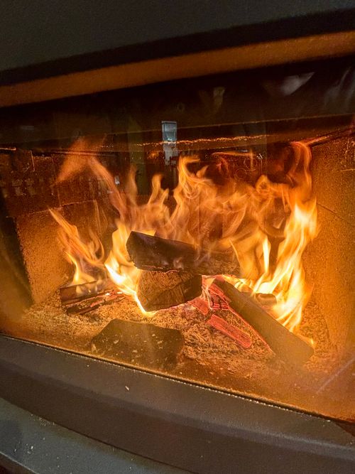 🎊新規キャンプ場オープン🎉🎉🎉 紫星の森 Oniyomeさんのキャンプブログ CAMPiii（キャンピー） -キャンプ専用SNS キャンプのすべてがここに集まる-