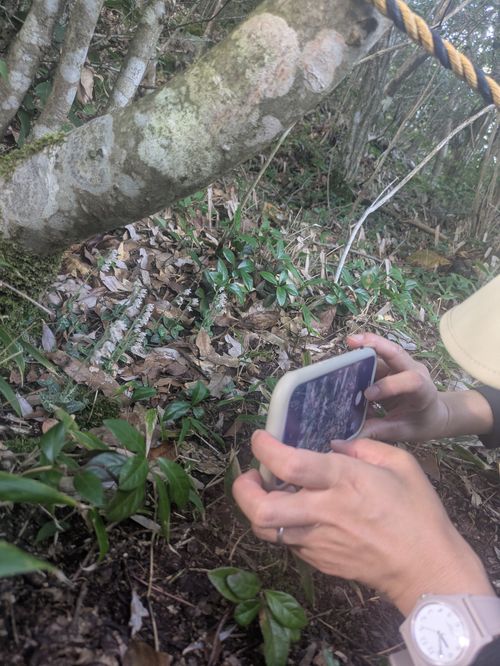 電車で行く🚃サウナキャンプ＆朝駆け登山の旅 Relax Village グループキャンプ 区画サイト NATSUさんのキャンプブログ CAMPiii（キャンピー） -キャンプ専用SNS キャンプのすべてがここに集まる-