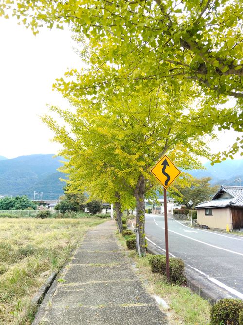 26.10.3 青柳浜 青柳浜キャンプ場 ソロキャンプ 区画サイト おっとまんSさんのキャンプブログ CAMPiii（キャンピー） -キャンプ専用SNS キャンプのすべてがここに集まる-