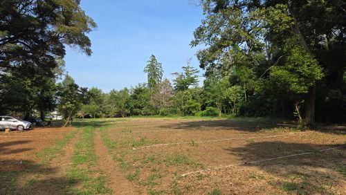 樹齢何年？という大きな木の下で&hellip; TSURUMAI CAMP PARK（ツルマイ キャンプ パーク） ソロキャンプ 区画サイト ke-nさんのキャンプブログ CAMPiii（キャンピー） -キャンプ専用SNS キャンプのすべてがここに集まる-