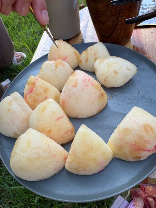 白馬⸜(*˙꒳˙*)⸝(*ˊᗜˋ*)⸜(*˙꒳˙*)⸝女子キャンプ②長野娘合流〜 白馬アルプスオートキャンプ場 グループキャンプ 区画サイト ぷりんさんのキャンプブログ CAMPiii（キャンピー） -キャンプ専用SNS キャンプのすべてがここに集まる-