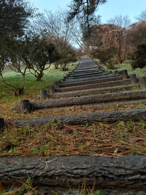 第90話　今回は岡山観光記事っす 弥高山公園キャンプ場 ソロキャンプ フリーサイト ちろ犬さんのキャンプブログ CAMPiii（キャンピー） -キャンプ専用SNS キャンプのすべてがここに集まる-