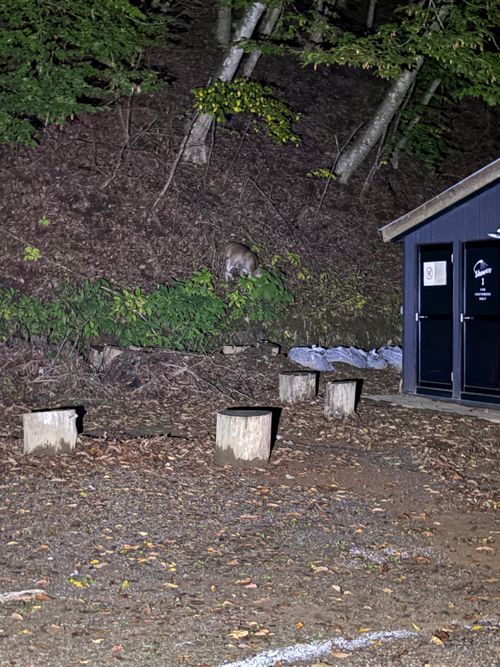 第86話　2泊3日で山梨に遊びにいく！これは惚気記事じゃなく、ちゃんとしたキャンプ記事です(多分) 四尾連湖 龍雲荘キャンプ場 ソロキャンプ グループキャンプ 区画サイト ちろ犬さんのキャンプブログ CAMPiii（キャンピー） -キャンプ専用SNS キャンプのすべてがここに集まる-