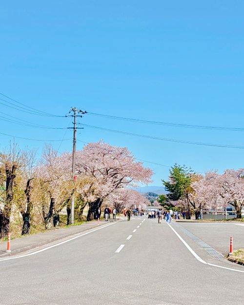 【番外編】駐屯地でお花見するっちゃ〜🌸🌸🌸 陸上自衛隊 福島駐屯地 Oniyomeさんのキャンプブログ CAMPiii（キャンピー） -キャンプ専用SNS キャンプのすべてがここに集まる-