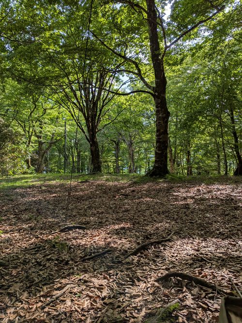 CAMPiii(キャンピー) アニさんのキャンプブログ 2026年9泊目 PICA表富士