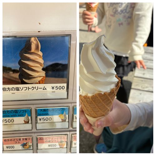 2026年5回目、イルカキャン🐬 ドルフィンファームしまなみ ファミリーキャンプ 区画サイト オートサイト わいげさんのキャンプブログ CAMPiii（キャンピー） -キャンプ専用SNS キャンプのすべてがここに集まる-