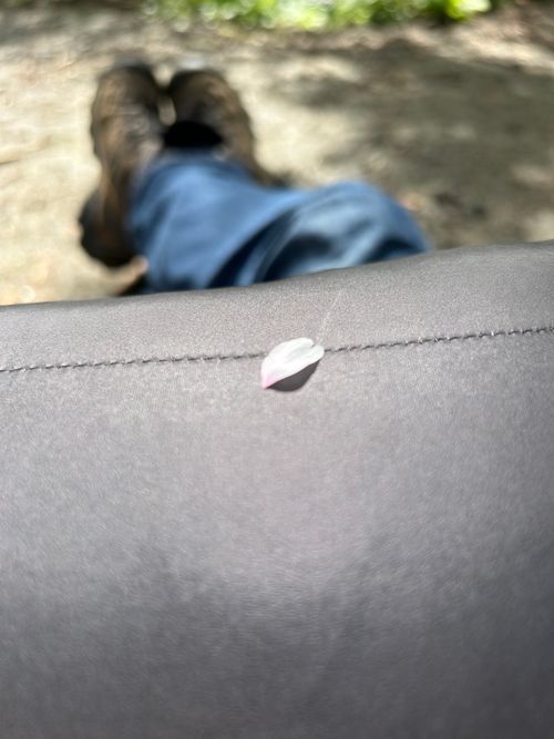 久しぶりのソロキャンプ🏕️ 道志の森キャンプ場 ソロキャンプ フリーサイト Genさんのキャンプブログ CAMPiii（キャンピー） -キャンプ専用SNS キャンプのすべてがここに集まる-