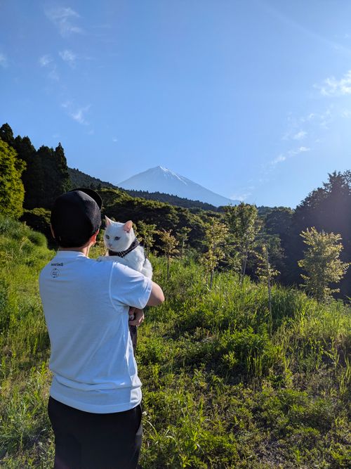 特に何もないんだけど、まったりデュオで猫の写真を撮ってきたよ ANOTHAPLACE ソロキャンプ グループキャンプ オートサイト 区画サイト ちあさんのキャンプブログ CAMPiii（キャンピー） -キャンプ専用SNS キャンプのすべてがここに集まる-