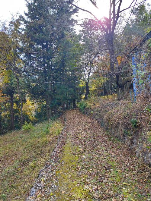 鹿岳辺りの紅葉🍁 One and…Nanmoku Another BASE ソロキャンプ 区画サイト ひろ16さんのキャンプブログ CAMPiii（キャンピー） -キャンプ専用SNS キャンプのすべてがここに集まる-