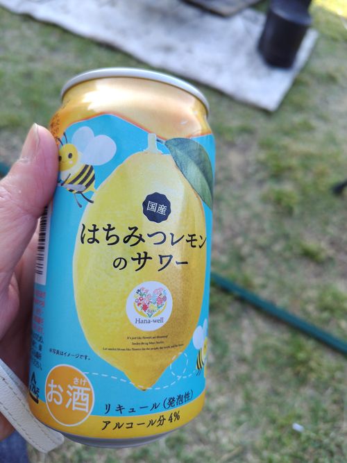 見晴らしサイコー！キャンプ日和&hearts; 市民の家 おぢゃ～る(小千谷 信濃川 水力発電館) ファミリーキャンプ 区画サイト セツさんのキャンプブログ CAMPiii（キャンピー） -キャンプ専用SNS キャンプのすべてがここに集まる-