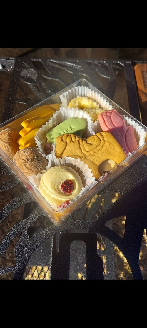 海岸巡り🎣キャンプ Beach Camp九十九里 ファミリーキャンプ オートサイト 区画サイト 夢見るクマさんのキャンプブログ CAMPiii（キャンピー） -キャンプ専用SNS キャンプのすべてがここに集まる-