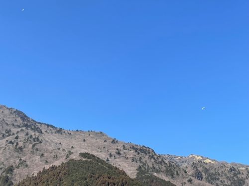 2026年キャンプ始動⛺️ ふもとっぱらキャンプ場 ファミリーキャンプ フリーサイト マイティさんのキャンプブログ CAMPiii（キャンピー） -キャンプ専用SNS キャンプのすべてがここに集まる-