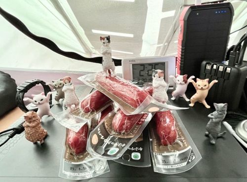 テント生活 終盤の終盤 鈴木さんさんのキャンプブログ CAMPiii（キャンピー） -キャンプ専用SNS キャンプのすべてがここに集まる-