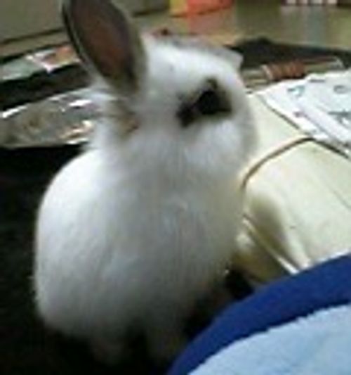 データに残っている最も古い庭BBQ 秋田市 ファミリーキャンプ フリーサイト ロマンチックあげる夫さんのキャンプブログ CAMPiii（キャンピー） -キャンプ専用SNS キャンプのすべてがここに集まる-