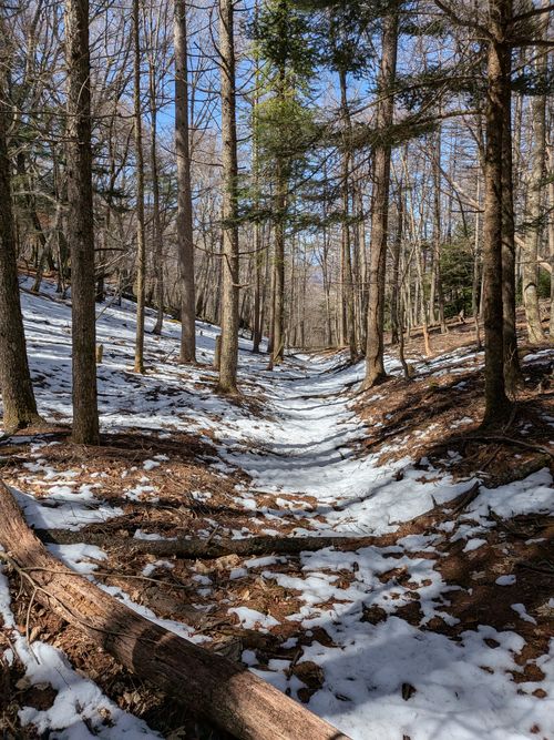 久々のふもとっぱら ふもとっぱらキャンプ場 ソロキャンプ グループキャンプ フリーサイト オートサイト IZUIZUさんのキャンプブログ CAMPiii（キャンピー） -キャンプ専用SNS キャンプのすべてがここに集まる-